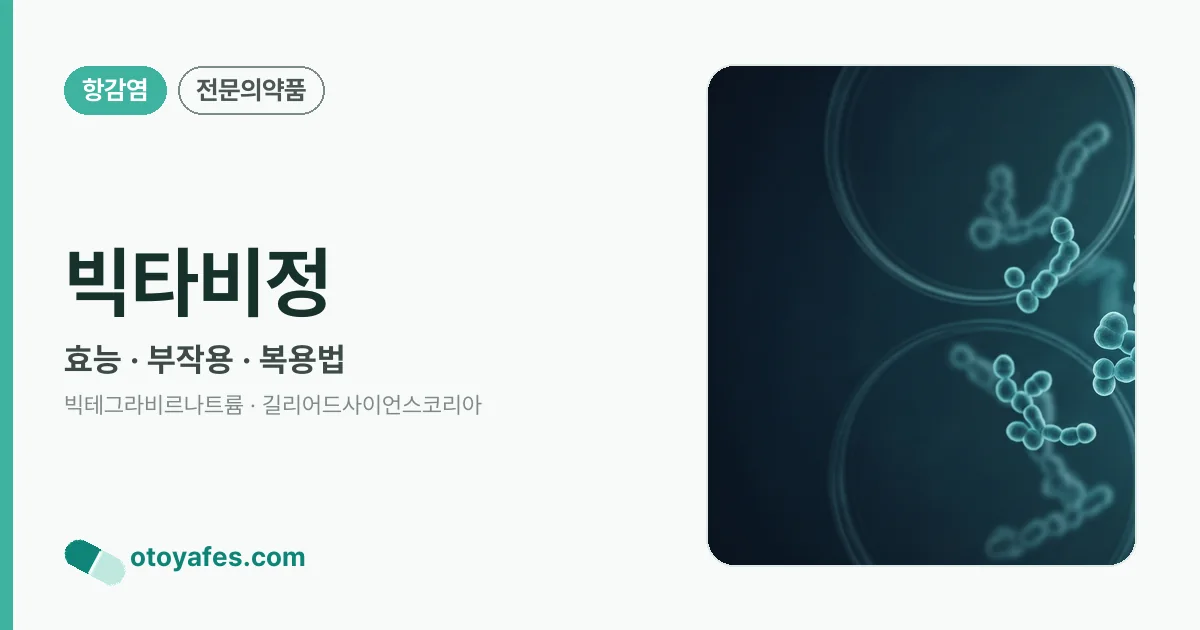빅타비정 정리 썸네일
