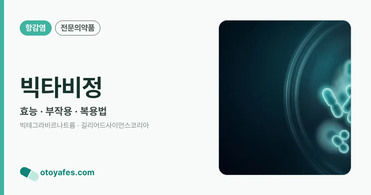 빅타비정 정리 썸네일