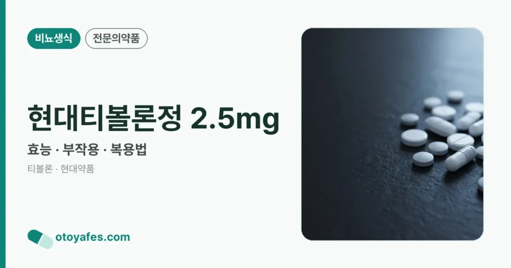 현대티볼론정 2.5mg 정리 썸네일