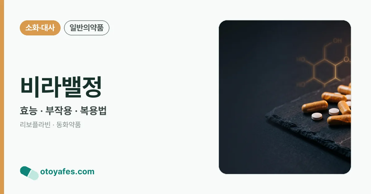 비라밸정 정리 썸네일
