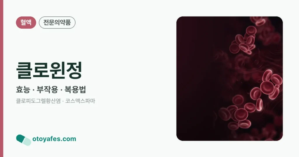 클로윈정 정리 썸네일