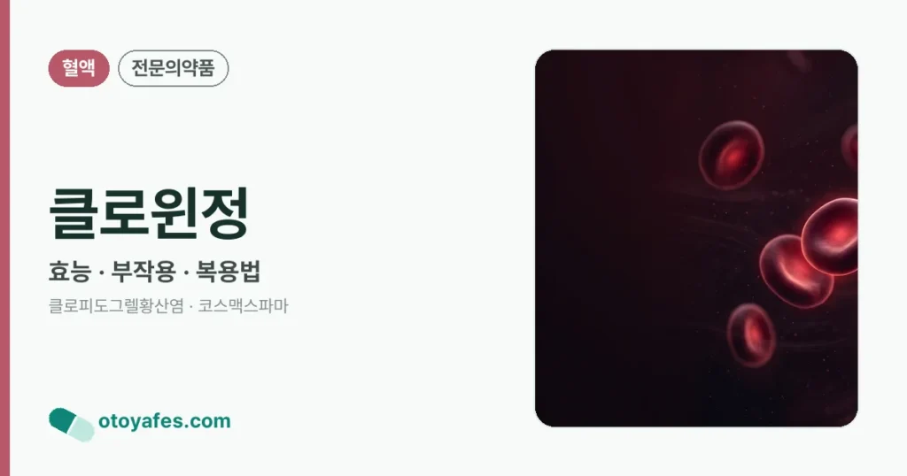 클로윈정 정리 썸네일