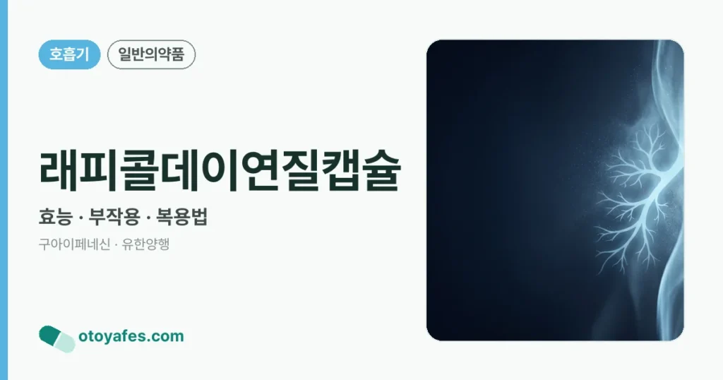 래피콜데이연질캡슐 정리 썸네일