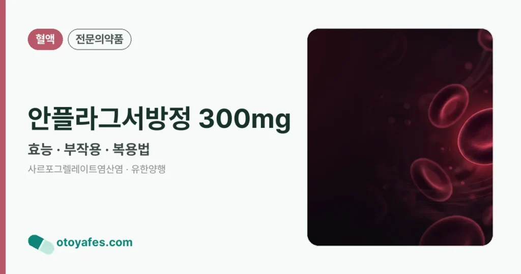 안플라그서방정 300mg 정리 썸네일