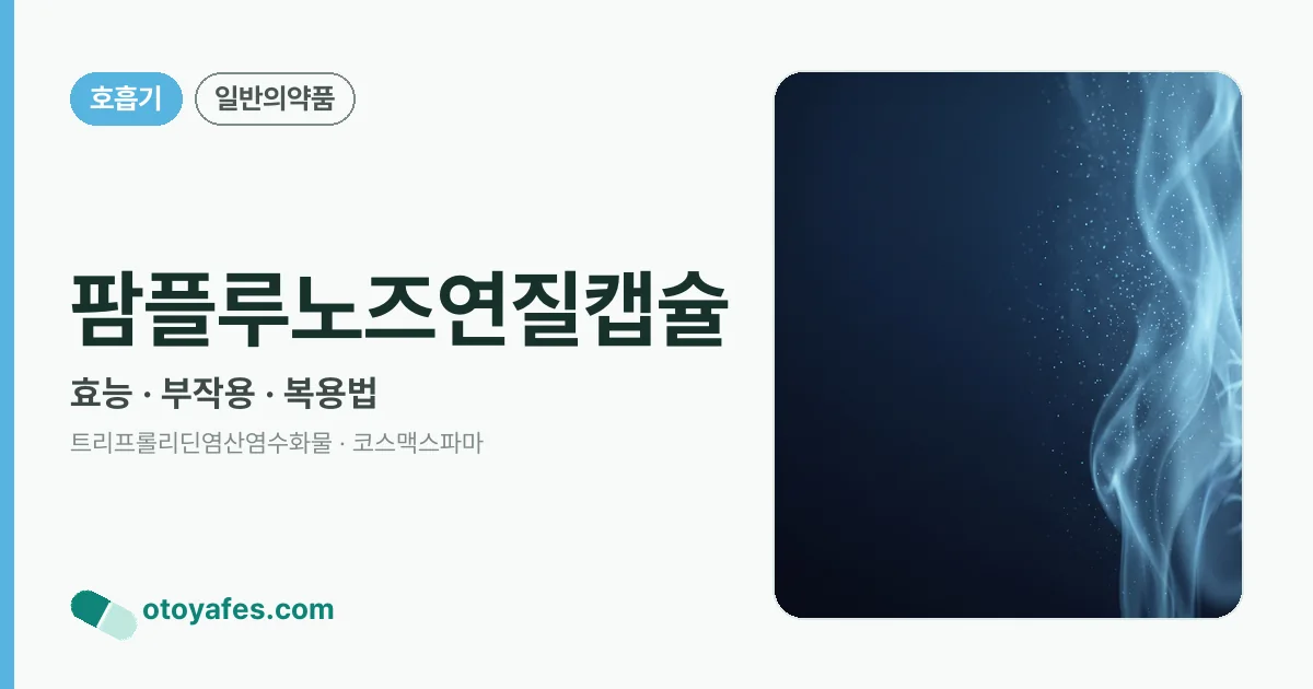팜플루노즈연질캡슐 정리 썸네일