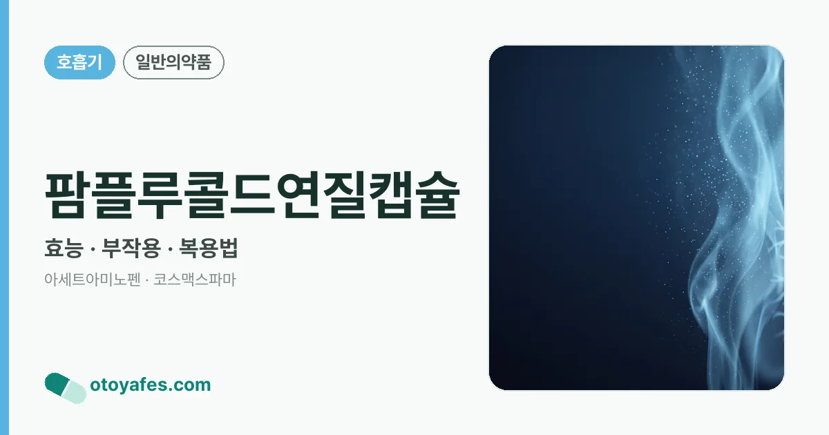 팜플루콜드연질캡슐 정리 썸네일