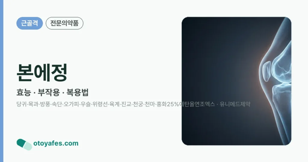 본에정 정리 썸네일