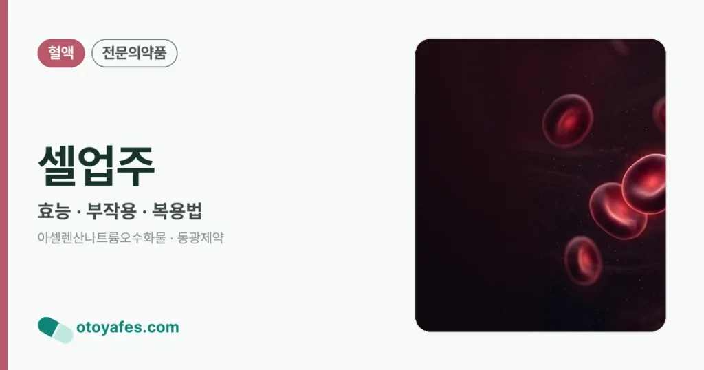 셀업주 정리 썸네일