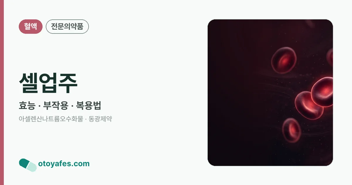 셀업주 정리 썸네일