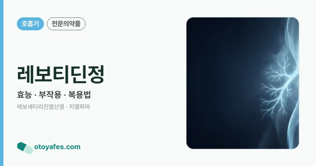 레보티딘정 정리 썸네일