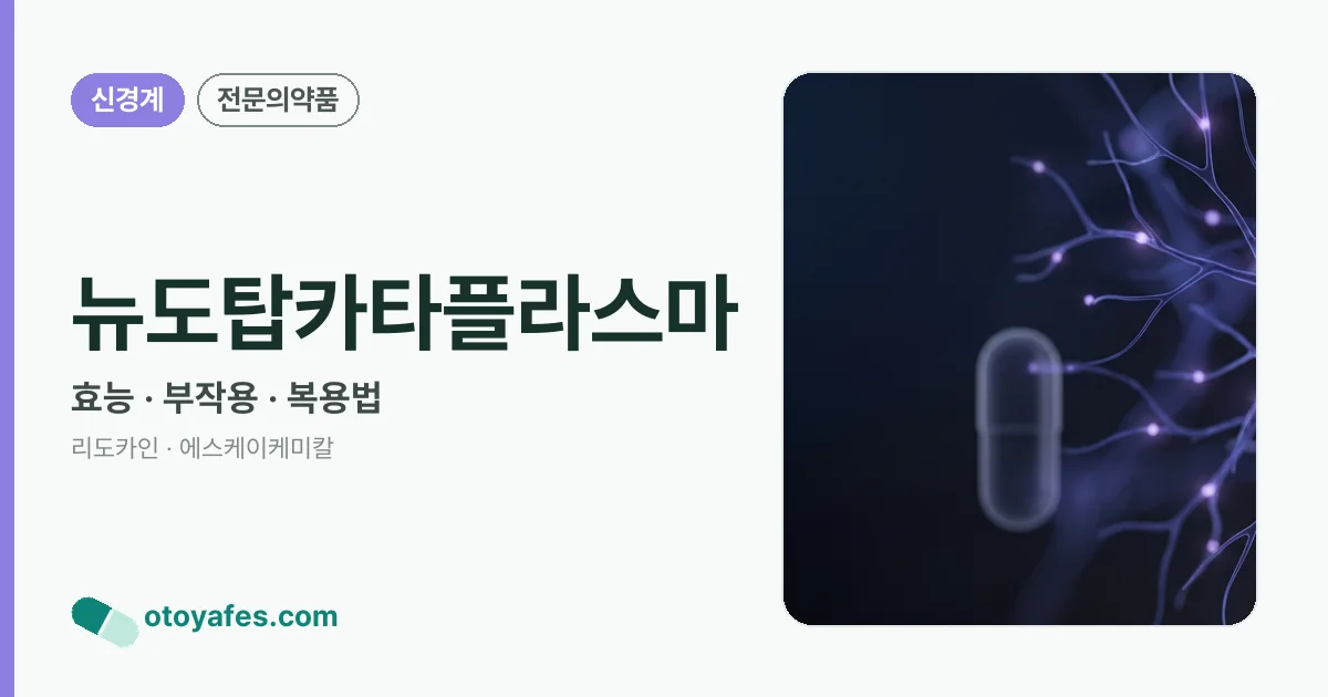 뉴도탑카타플라스마 정리 썸네일