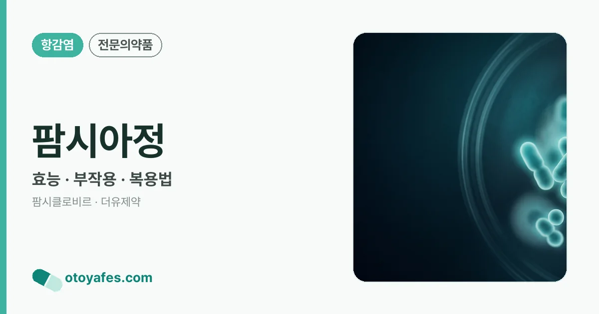 팜시아정 정리 썸네일