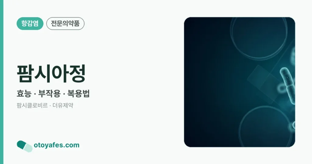 팜시아정 정리 썸네일