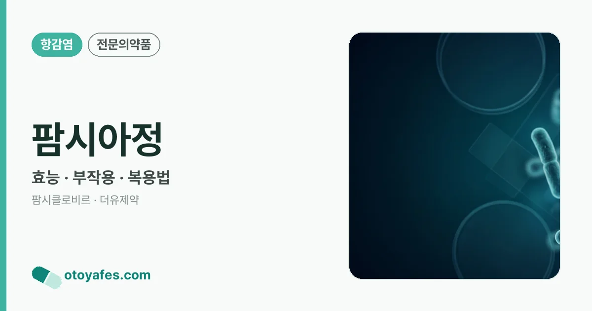 팜시아정 정리 썸네일