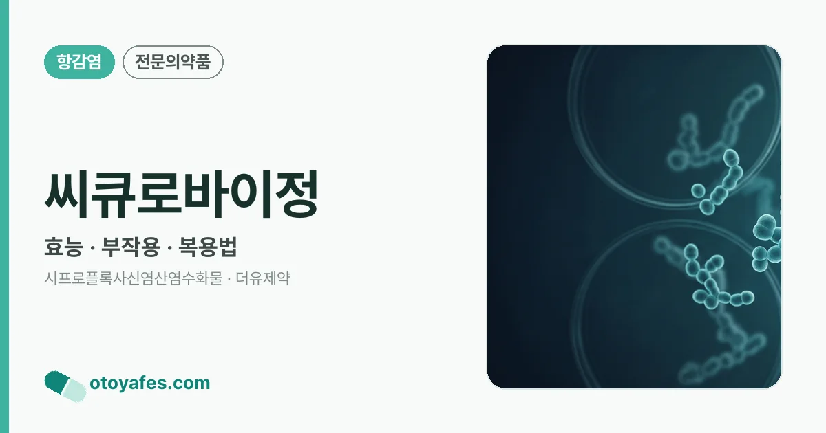 씨큐로바이정 정리 썸네일