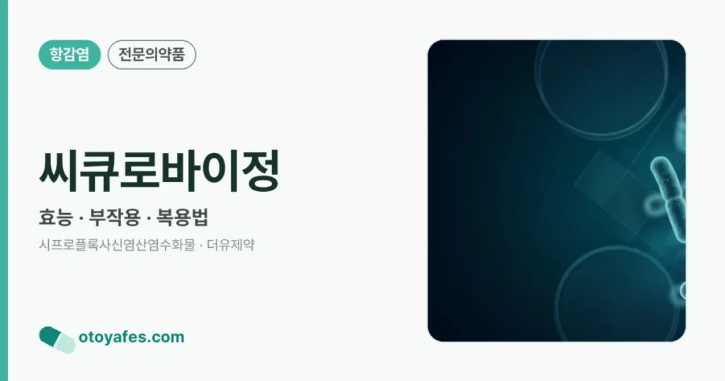 씨큐로바이정 정리 썸네일