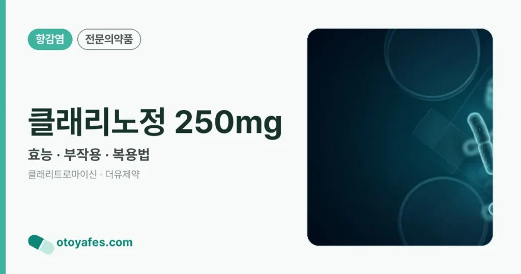 클래리노정 250mg 정리 썸네일