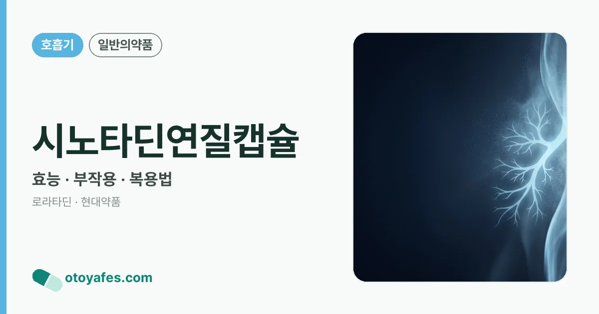 시노타딘연질캡슐 정리 썸네일
