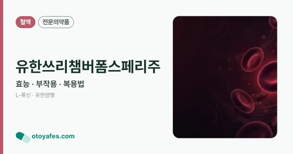 유한쓰리챔버폼스페리주 정리 썸네일