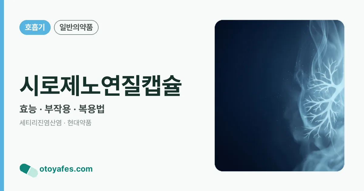 시로제노연질캡슐 정리 썸네일