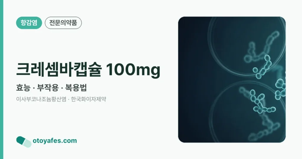 크레셈바캡슐 100mg 정리 썸네일