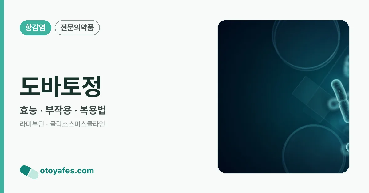 도바토정 정리 썸네일
