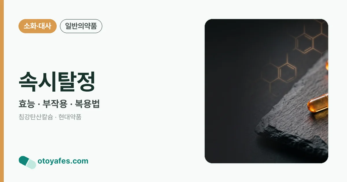 속시탈정 정리 썸네일
