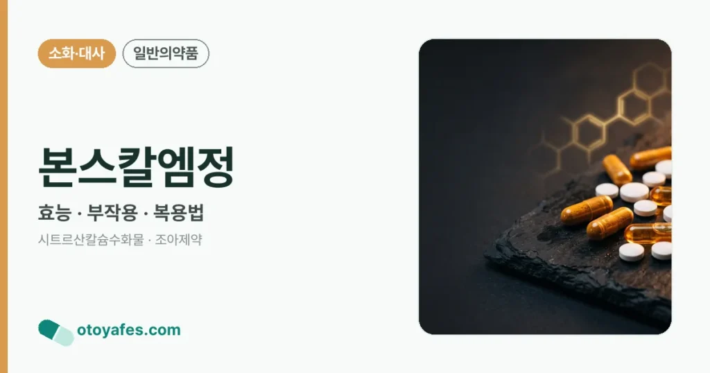 본스칼엠정 정리 썸네일