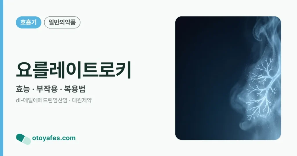 요를레이트로키 정리 썸네일