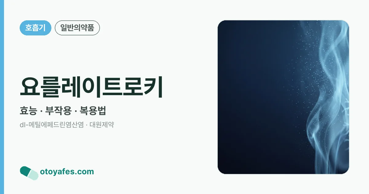 요를레이트로키 정리 썸네일