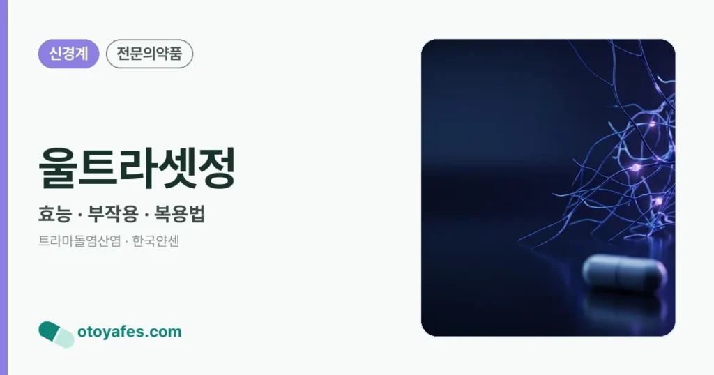울트라셋정 정리 썸네일