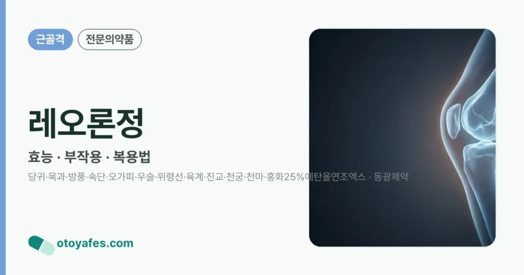 레오론정 정리 썸네일