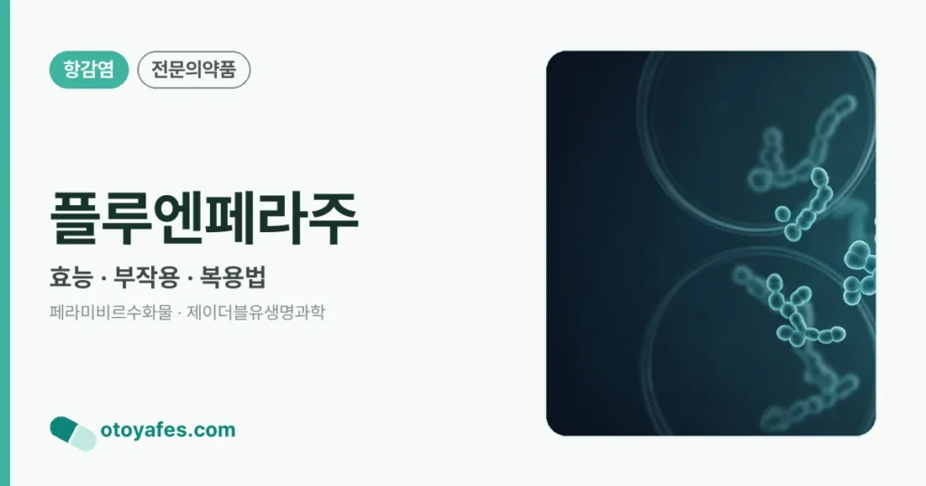 플루엔페라주 정리 썸네일