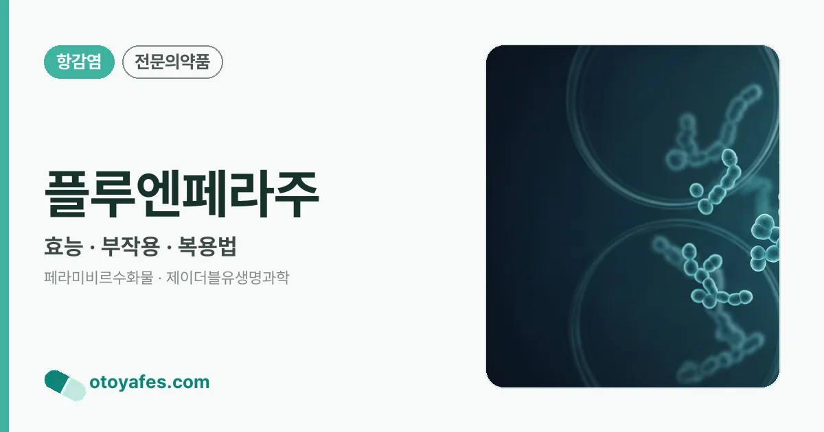플루엔페라주 정리 썸네일