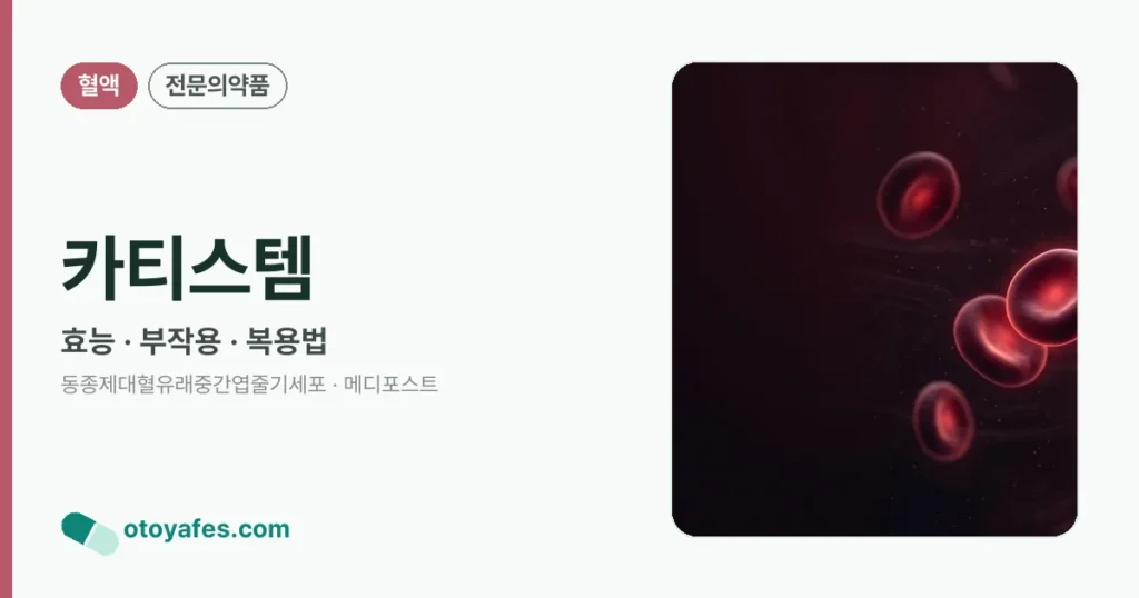 카티스템 정리 썸네일