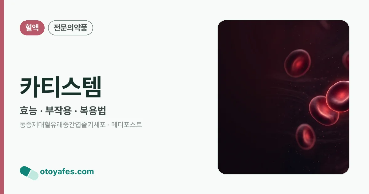 카티스템 정리 썸네일