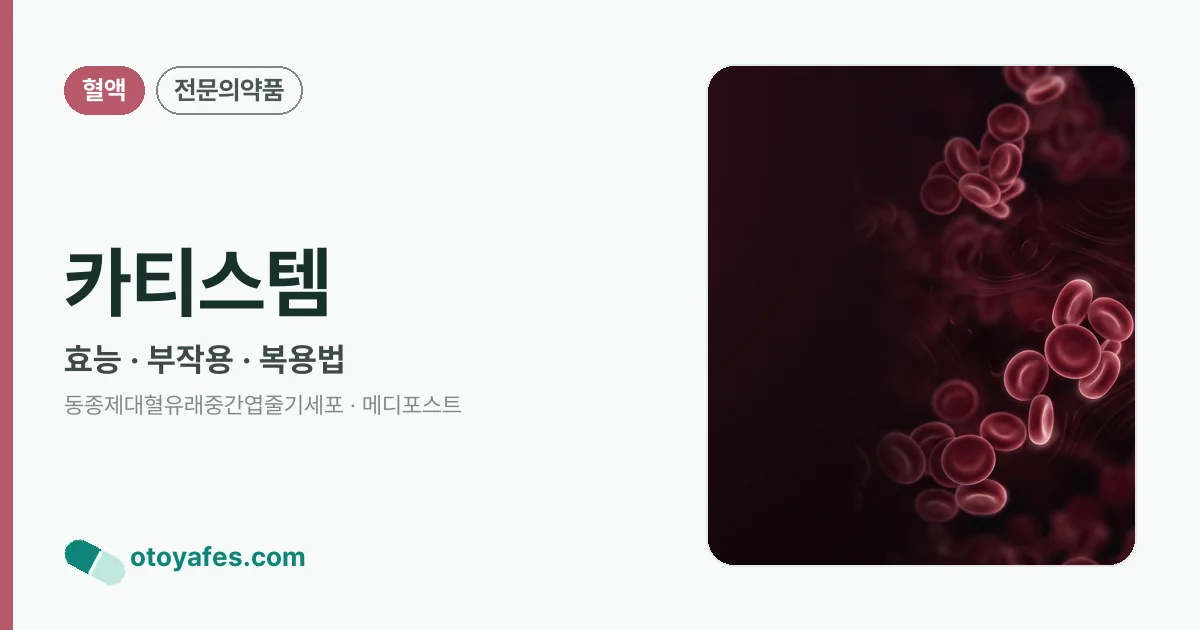 카티스템 정리 썸네일