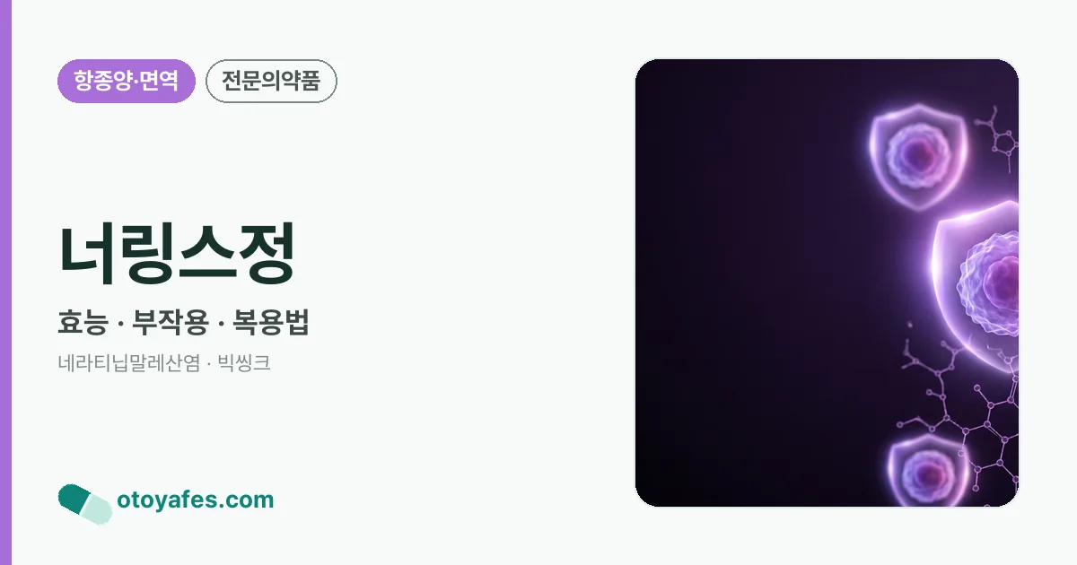 너링스정 정리 썸네일