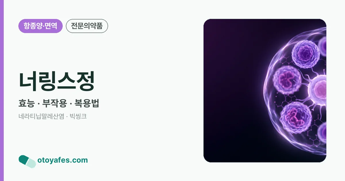 너링스정 정리 썸네일