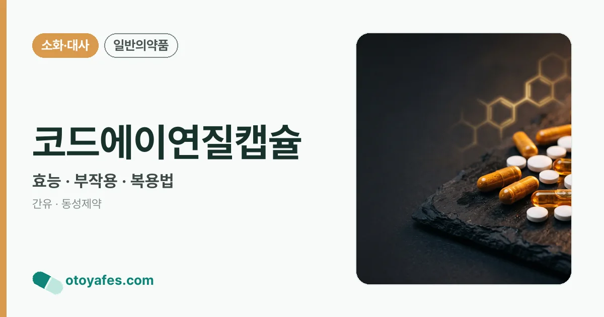 코드에이연질캡슐 정리 썸네일