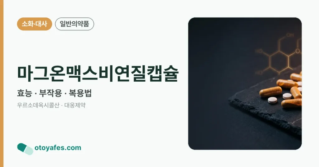 마그온맥스비연질캡슐 정리 썸네일