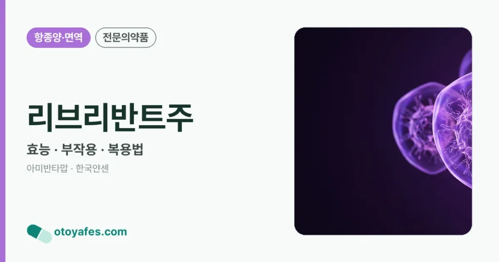 리브리반트주 정리 썸네일