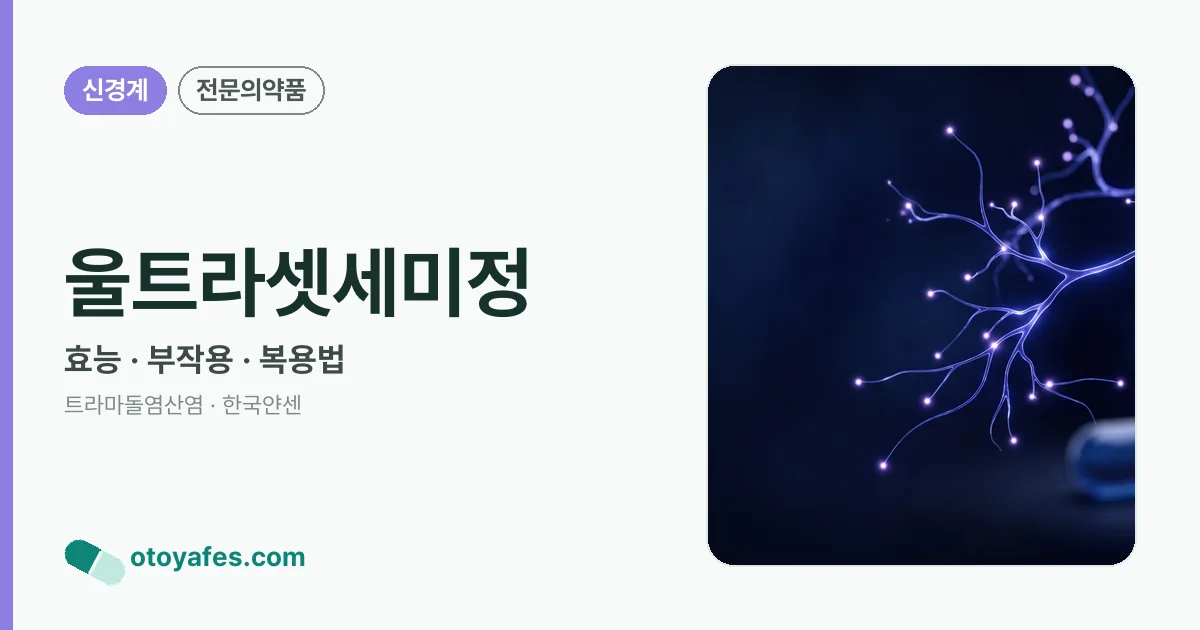울트라셋세미정 정리 썸네일