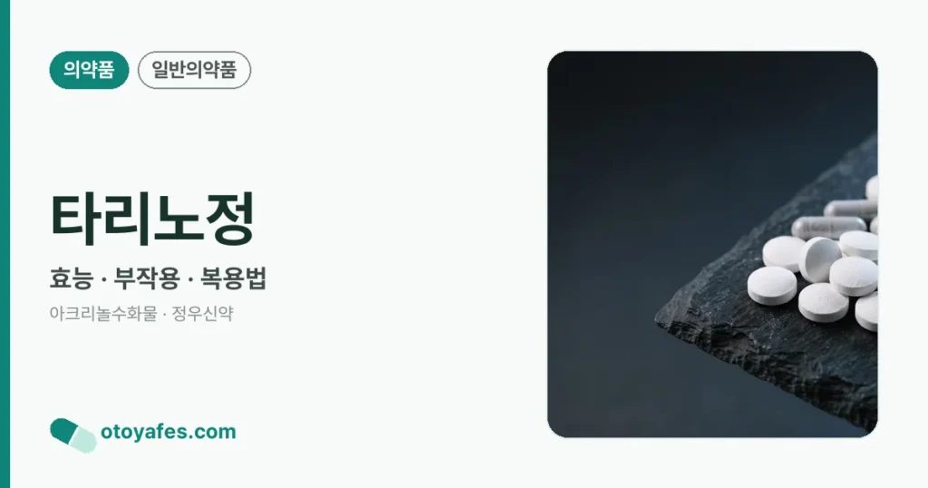 타리노정 정리 썸네일