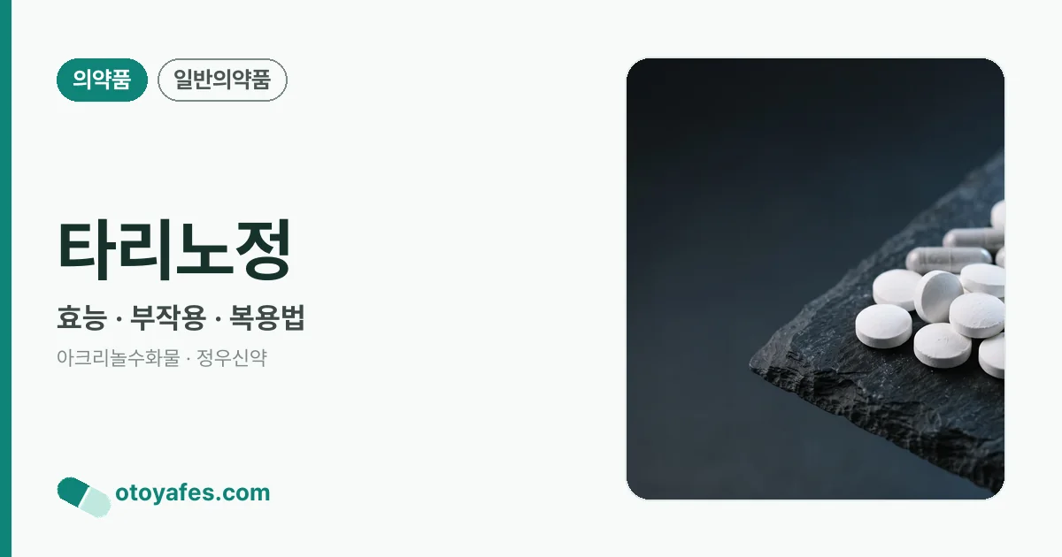 타리노정 정리 썸네일