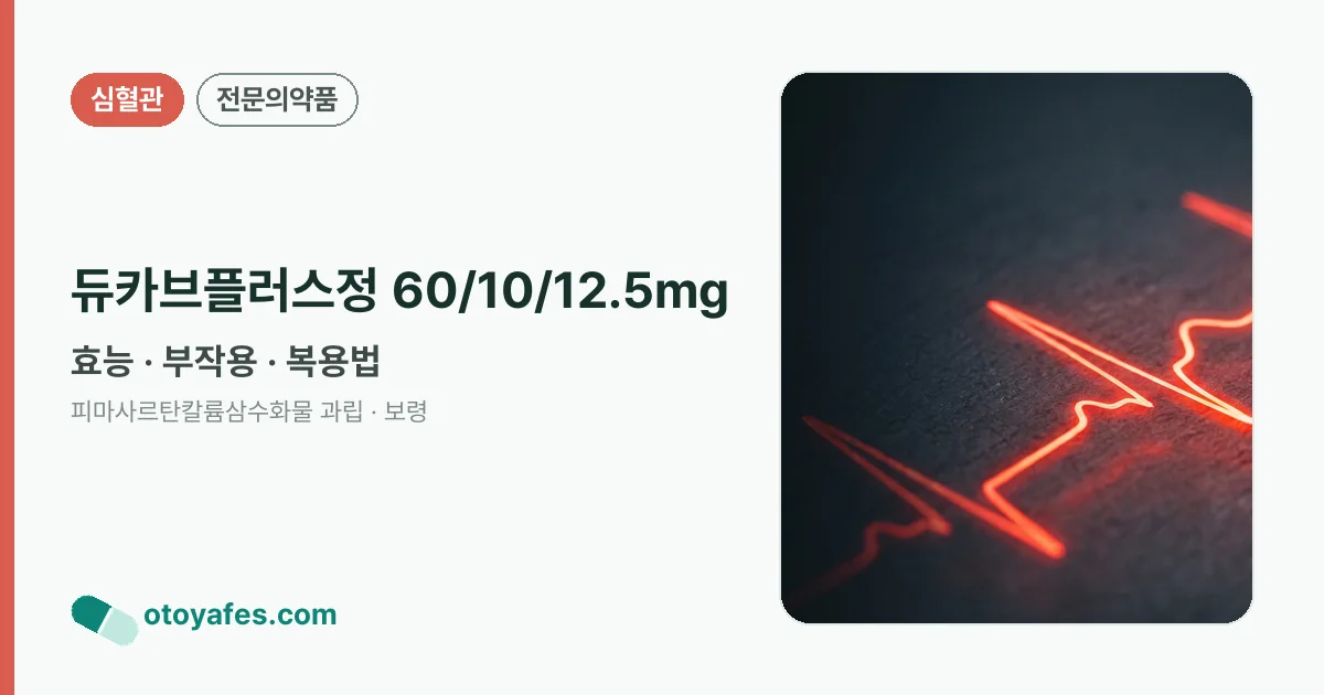 듀카브플러스정 60/10/12.5mg 정리 썸네일