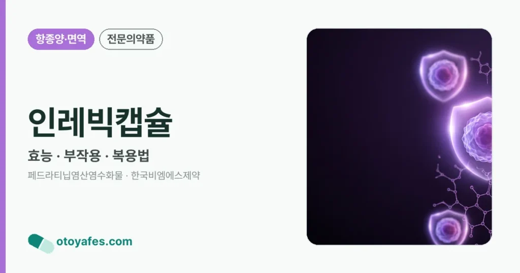 인레빅캡슐 정리 썸네일