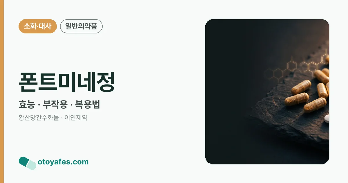 폰트미네정 정리 썸네일