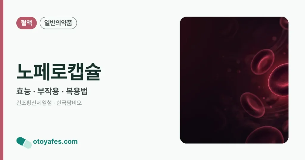 노페로캡슐 정리 썸네일