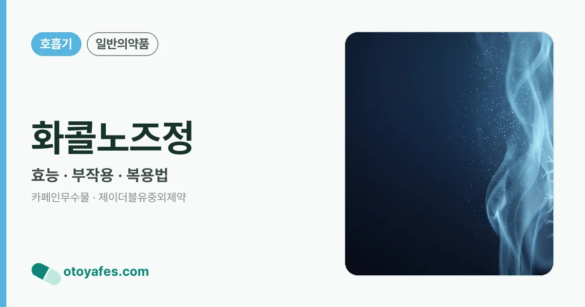 화콜노즈정 정리 썸네일